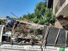 Trusted Warren, IN Junk Removal Services Experts