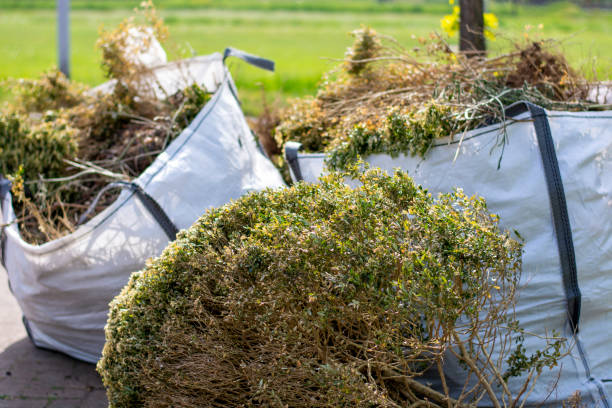 Best Recycling Services for Junk  in Warren, IN